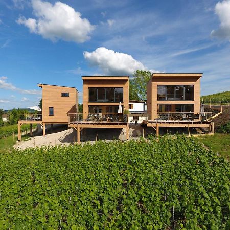 Cottages Antoinette Chigny-les-Roses 외부 사진