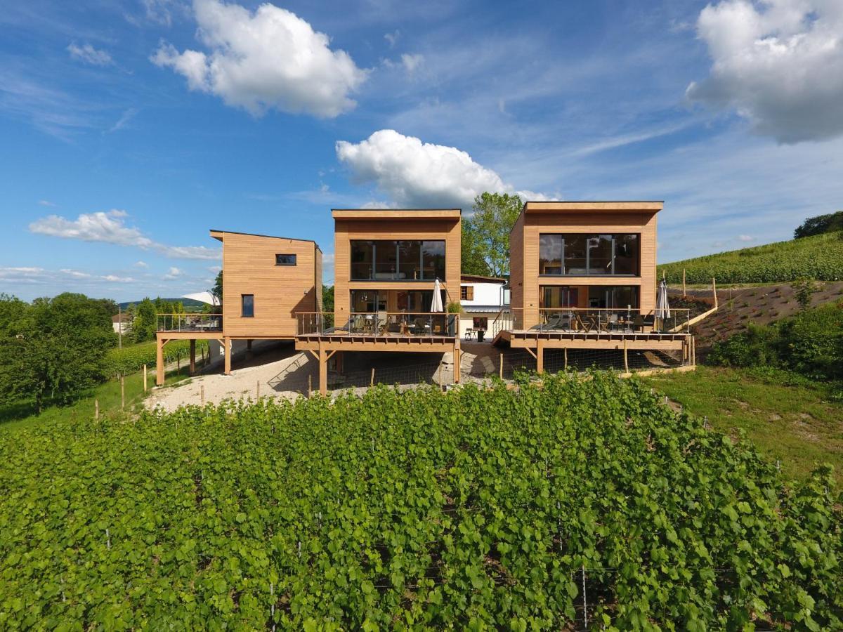 Cottages Antoinette Chigny-les-Roses 외부 사진