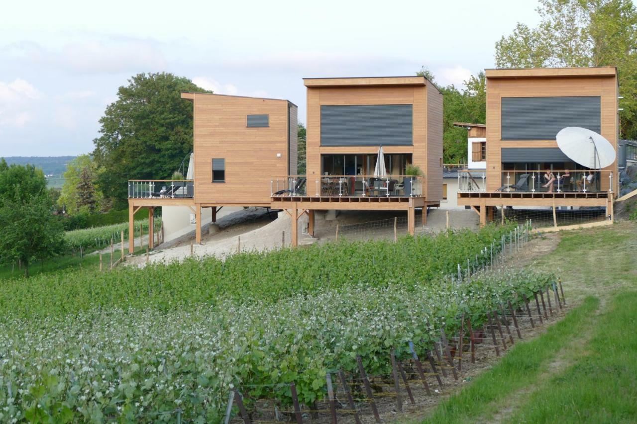 Cottages Antoinette Chigny-les-Roses 외부 사진