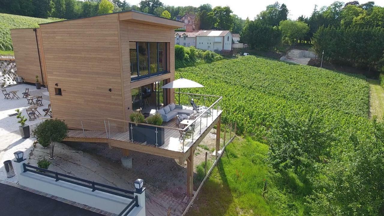 Cottages Antoinette Chigny-les-Roses 외부 사진