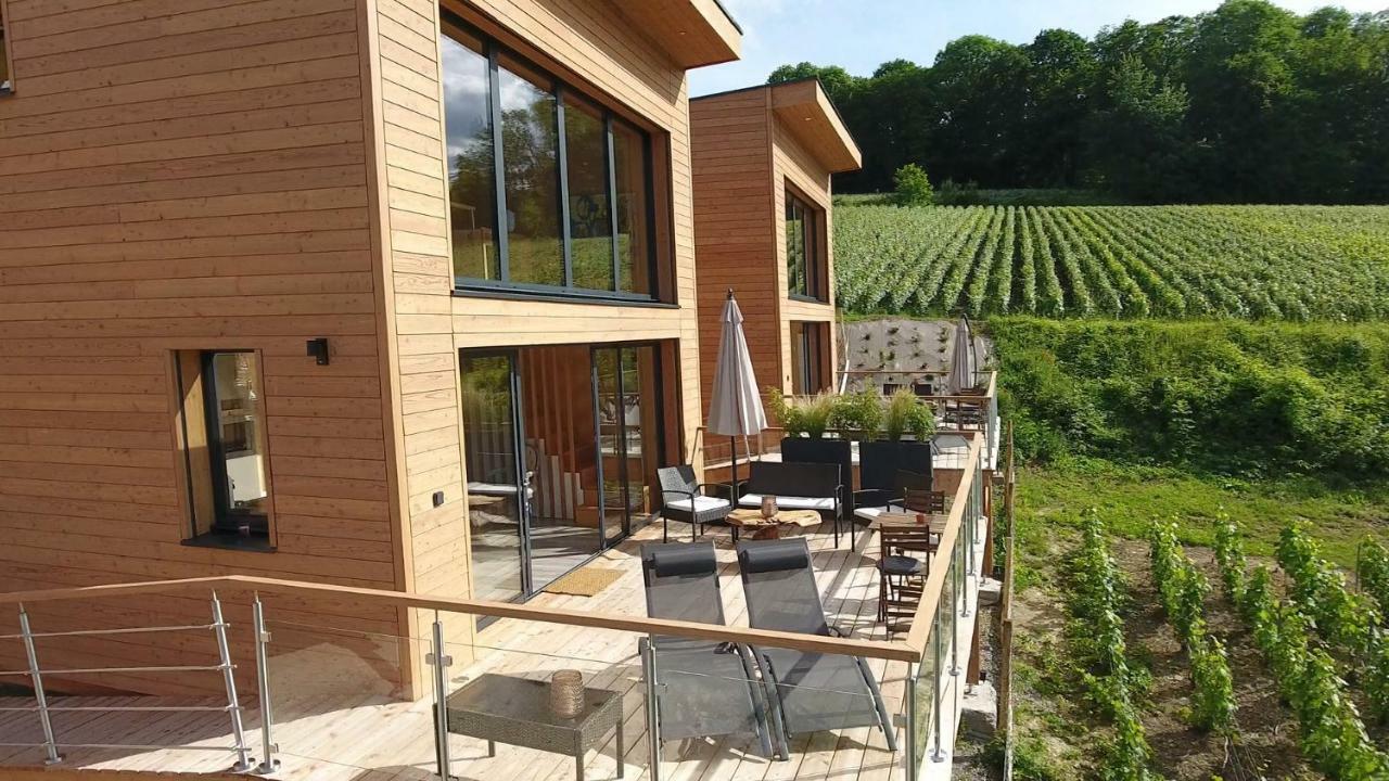 Cottages Antoinette Chigny-les-Roses 외부 사진