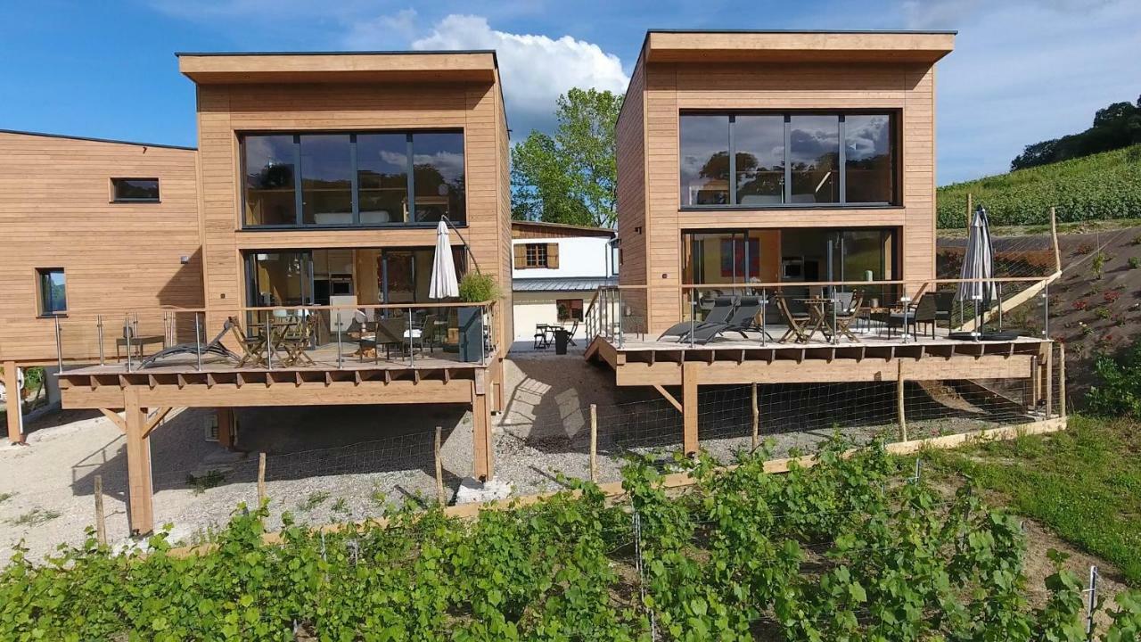 Cottages Antoinette Chigny-les-Roses 외부 사진