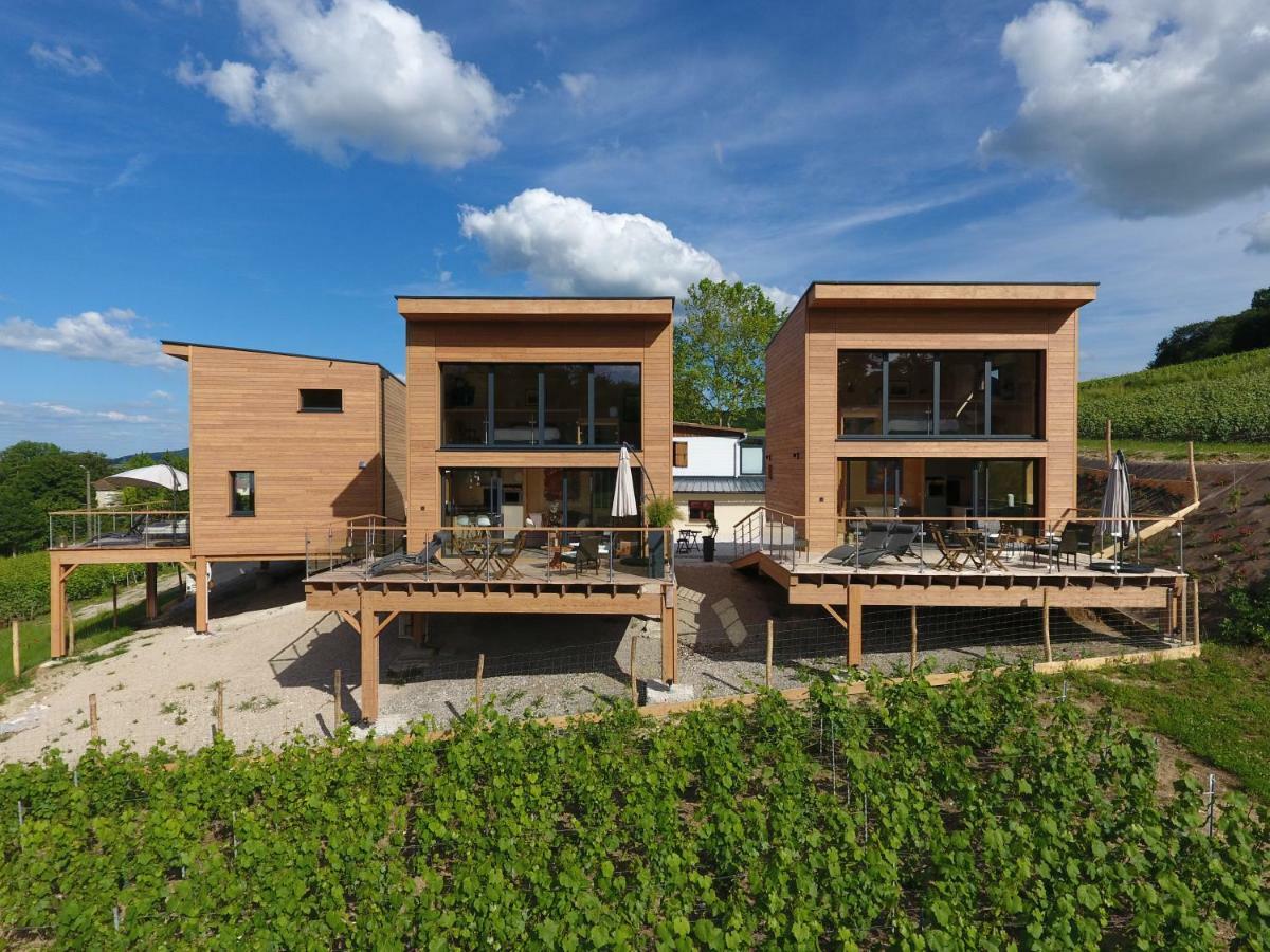 Cottages Antoinette Chigny-les-Roses 외부 사진